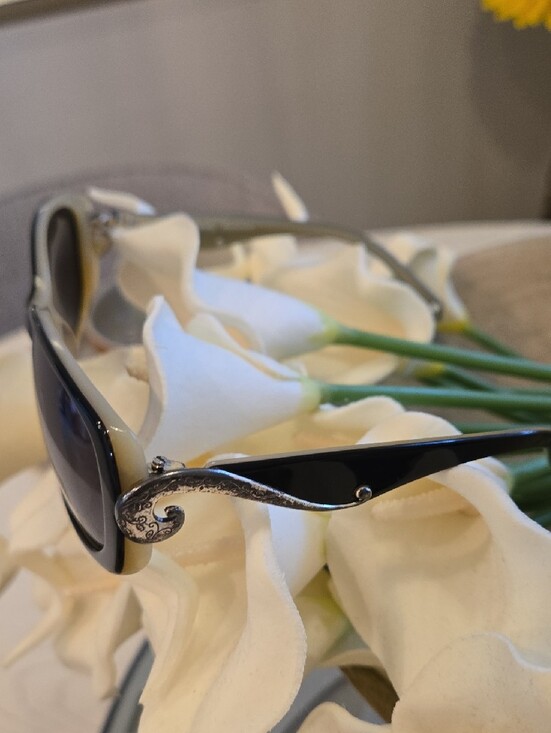Brighton Black Ivory Trim Sunglasses with Decorative Silver Scroll Accents main image 4